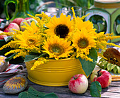 Helianthus (Sonnenblumen), Solidago (Goldrute) in gelber Blechschale, Malus (Äpfel)