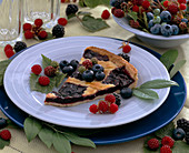 Blackberry pie, Rubus (blackberries) and Jap. grapes, Vaccinium (blueberries)