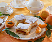 Prunus armeniaca (apricots and apricot cakes)