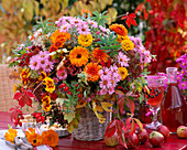 Calendula / Ringelblumen, Aster, Euphorbia / Wolfsmilch