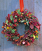 Wreath of Erica gracilis (potferica)