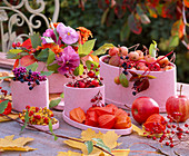 Rosa Pappschachteln mit Malus / Äpfeln, Zieräpfeln, Rosa / Hagebutten, Physalis / La