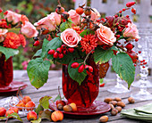 Rosa (Rosen und Hagebutten), Chrysanthemum, Rubus (Himbeere), Malus (Zieräpfel)