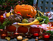 Cucurbita (pumpkins), Rosa (rose hips), Aesculus (chestnuts), Corylus (hazelnuts)