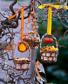 Homemade bird food: baskets filled with seeds and dried fruit