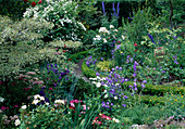 Campanula (bellflowers), Rosa (roses), Cornus 'Variegata' (white dogwood), Philadelphus (pipe bush), Delphinium (delphinium), Dianthus barbatus (bearded carnations), Buxus (boxwood) as border for the beds
