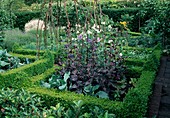 Formal cottage garden: vegetables and summer flowers in square beds bordered with hedges of Buxus (boxwood)