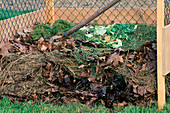 Compost of leaves, grass clippings and kitchen waste in composting