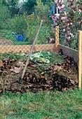 Kompost: Gemüseabfaelle, Rasenschnitt und Herbstlaub auf dem Kompost