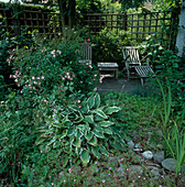 Shade terrace with trellis, deck chair and side table, Rosa (roses), Hosta (hostas) and Geranium robertianum (Ruprechtskraut) between coarse pebbles