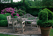 Seating area with buxus and rhododendrons