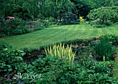 Iris pallida (Bleiche Schwertlilie), Hosta (Funkien), Pulmonaria (Lungenkraut), Teich, Staudenbeet, Blick über Rasen auf Gewächshaus