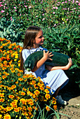 Mädchen hält Riesen-Zucchini (Cucurbita) im Arm, Tagetes (Studentenblumen)