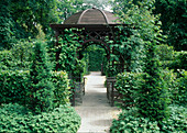 Benches in the pavilion as an archway, overgrown with Rosa (climbing roses), Taxus baccata (yew) cut into a cone shape