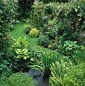 Narrow garden with lawn between beds of perennials and woody plants