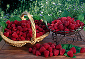 Freshly picked raspberries (Rubus idaeus)