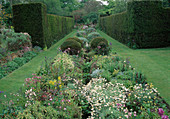 Bed with perennials and woody plants between hedges of Taxus (yew) and lawn paths