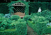 Shade garden: Buxus (boxwood) hedges, ferns, Anemone japonica (autumn anemone), Hosta (hosta), bench under arbour overgrown with Humulus lupulus (hops), figure