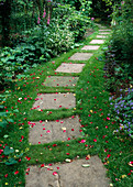 Path in garden