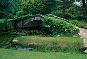 Stone bridge with Hedera (ivy) over pond with Nymphaea (water lilies)
