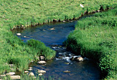 Bach fliesst in freier Natur über Natursteine