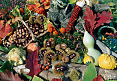 Stil mit Herbst-Früchten für Dekorationen - Zierkürbisse (Cucurbita), Maronen (Castanea), bunter Mais (Zea mays), Kastanien (Aesculus), Haselnüsse (Corylus), Misteln (Viscum), Physalis (Lampions) und Herbstlaub