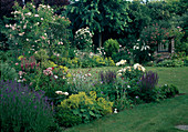 Rosa (roses), Salvia nemorosa (tumble sage, ornamental sage), Alchemilla mollis (lady's mantle), Lavandula (lavender), Lychnis (coneflower), Geranium (cranesbill), Lonicera heckrottii (honeysuckle) - grows on wall.