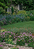 Beds bordering the house with Nigella (maidenhair), Geranium (cranesbill), Phlomis (fireweed), Helianthemum (sunflower)