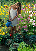 Girl watering ornamental cabbage (brassica), cosmos (jewelweed) and anthemis (dyer's chamomile)