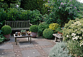 Paved terrace with concrete slabs and stones, Buxus (box) - globes in terracotta pots and in bed, succulents in clay pots on table, collected pebbles on stone bench