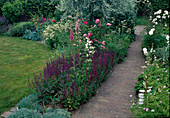 Paved path between beds: Salvia nemorosa 'Ostfriesland' (steppe sage, ornamental sage), Digitalis (foxglove), Rosa (roses) and Campanula (bellflowers)