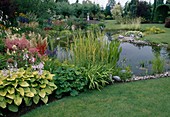 Kidney-shaped garden pond with Phragmites (reed), Pontederia (pikeweed), rushes and gravel, perennial bed with Hosta (funkias), Astilbe (daisy)