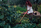 Loosen soil in the vegetable garden between vegetables and summer flowers