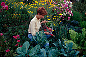 Harvesting vegetables