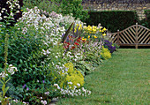 Perennial bed: Campanula (bellflowers), Hosta (hostas), Alchemilla (lady's mantle), Hemerocallis (daylilies)