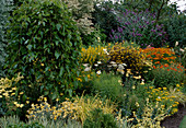 Perennial bed planted in yellow and orange