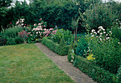 Herb beds bordered with buxus (boxwood), horseradish (Armoracia rusticana), rue (Ruta graveolens), Rosa (roses), Lychnis coronaria (coneflower), narrow path with clinker pavement