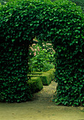 Üppig bewachsener Torbogen mit Hedera helix (Efeu) als Durchgang in den Garten
