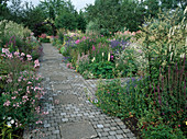 Gepflasterter Weg im Garten, Salvia (Ziersalbei), Sedum (Fetthenne), Lychnis (Vexiernelke), Veronica (Ehrenpreis), Lupinus (Lupinen)