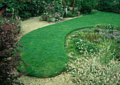 Lawn tongue-shaped between perennial bed with grasses and ground cover and gravel terrace with pots