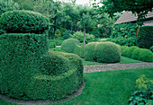 Buxus sempervirens (boxwood) artfully cut in various shapes, apple tree (Malus)