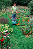 Woman mowing a path of white clover (Trifolium repens) between beds