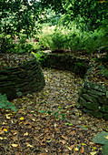 Path with bark mulch through shade garden