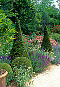 Summer bed mixed with perennials, roses and shrubs