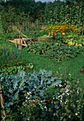 Farm garden