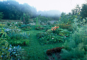 Vegetable garden in the morning mist, paths with clover