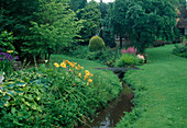 Small stream with wooden footbridge in the garden, beds with perennials: Hosta (Funkie), Astilbe (Prachtspiere), Hemerocallis (Taglillien), lawn, woody plants