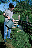 Building a compost 5th step: Watering compost (5/8)