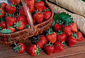 Freshly picked strawberry 'Mabi' Fragaria