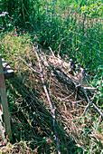 Hideaway of branches in the garden